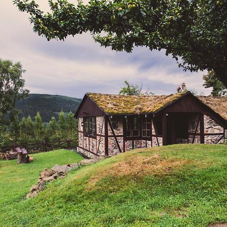 Willa Z Gwarantowanym Widokiem Na Gory Aleksander Panorama Świeradów-Zdrój Esterno foto