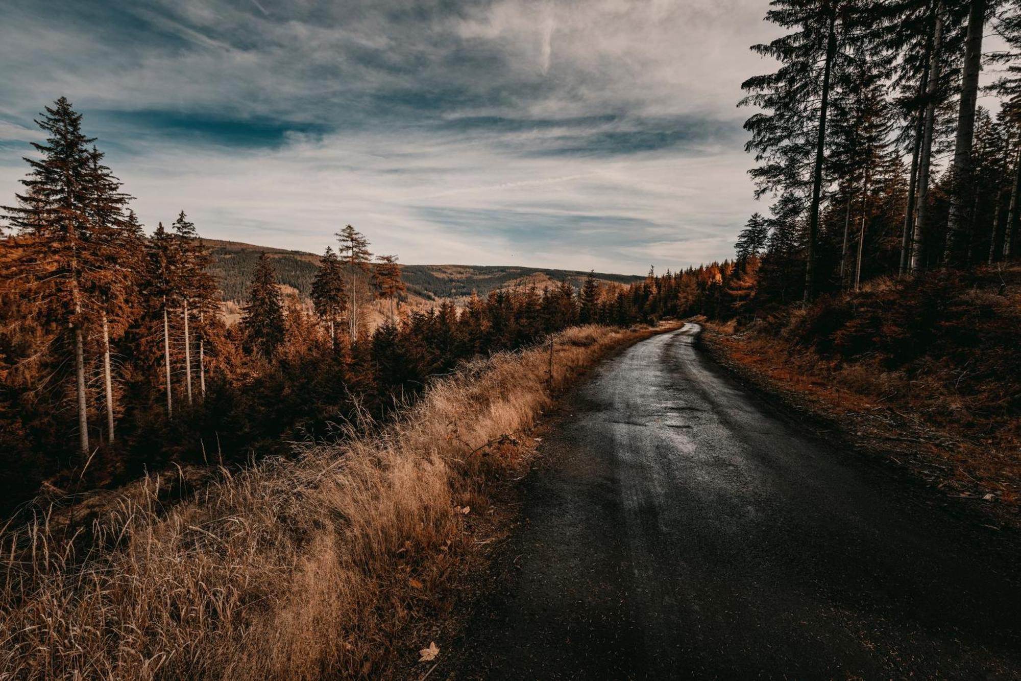 Willa Z Gwarantowanym Widokiem Na Gory Aleksander Panorama Świeradów-Zdrój Esterno foto