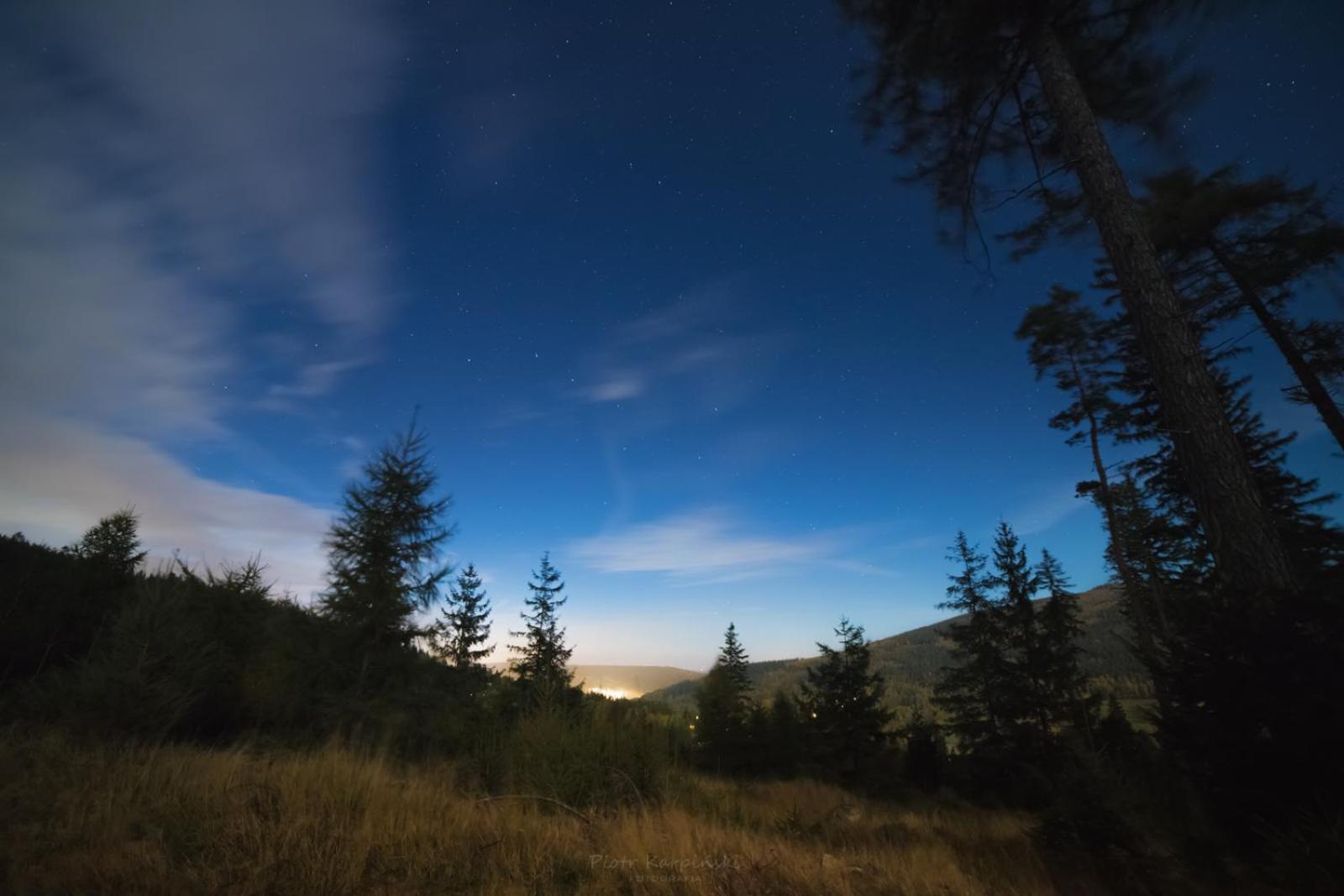 Willa Z Gwarantowanym Widokiem Na Gory Aleksander Panorama Świeradów-Zdrój Esterno foto