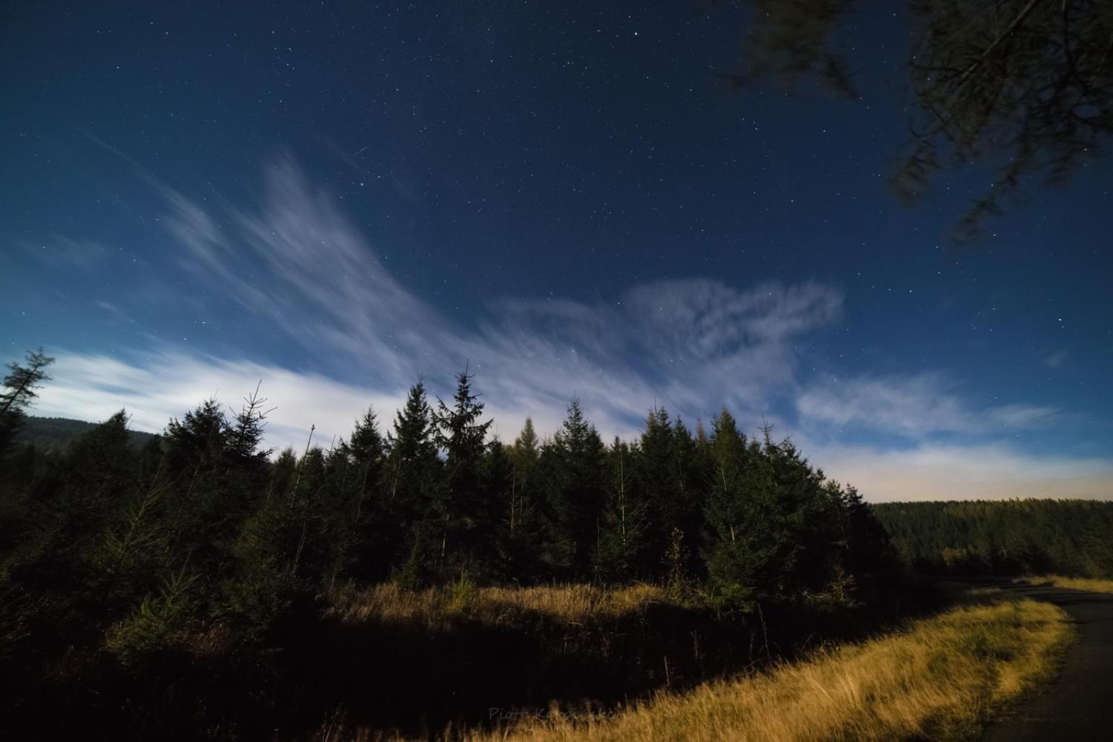 Willa Z Gwarantowanym Widokiem Na Gory Aleksander Panorama Świeradów-Zdrój Esterno foto