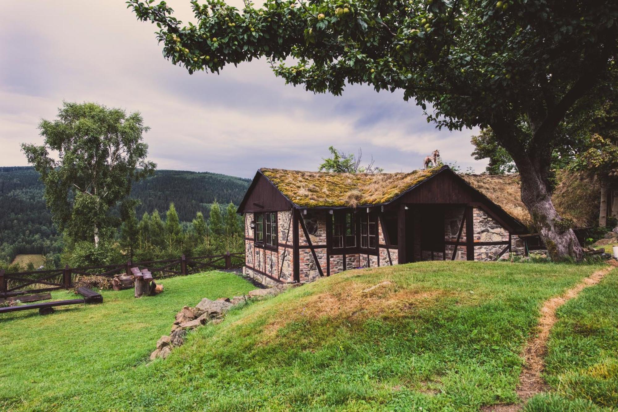 Willa Z Gwarantowanym Widokiem Na Gory Aleksander Panorama Świeradów-Zdrój Esterno foto